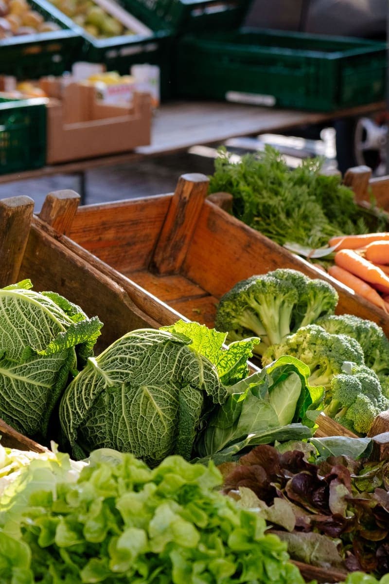 Crates of cabbages and leafy greens
