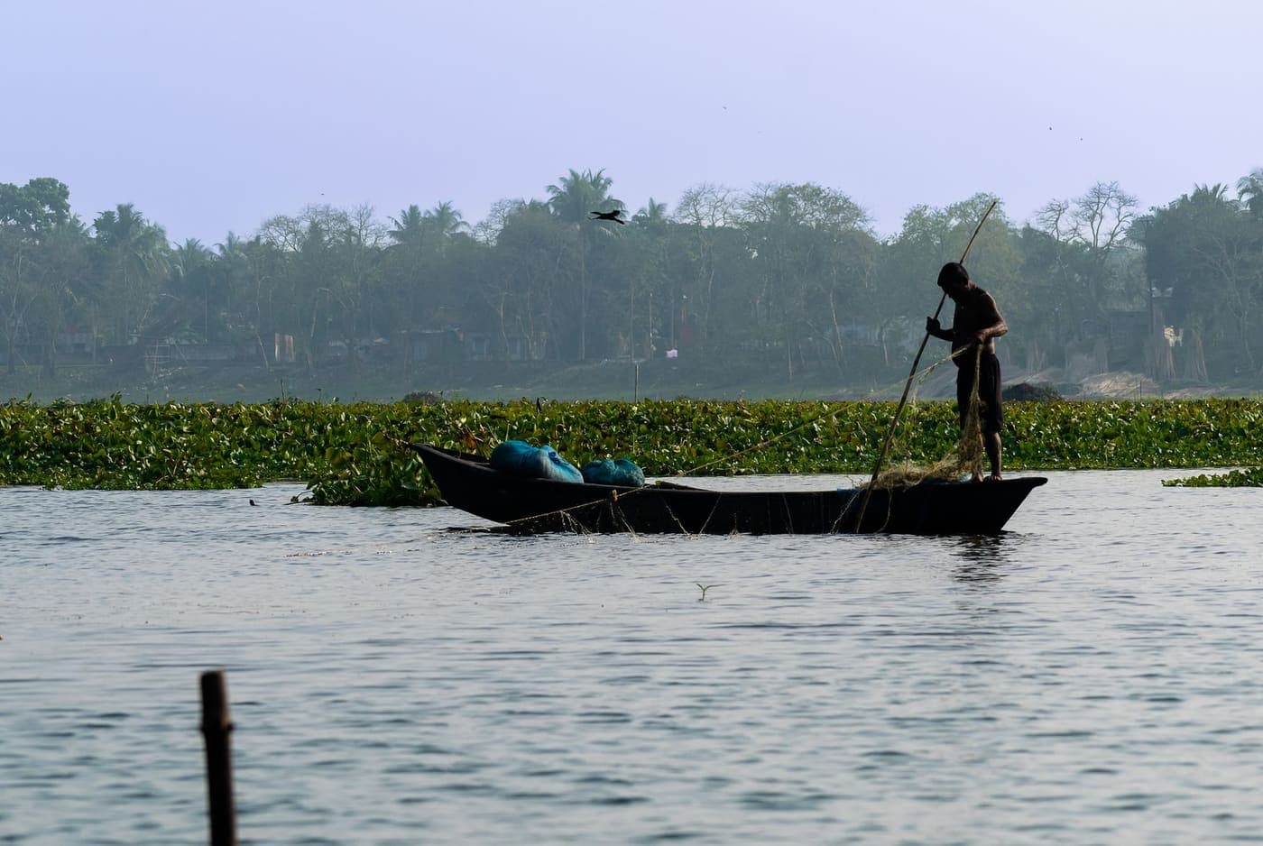 A boatman poling a wooden boat across a river at dawn